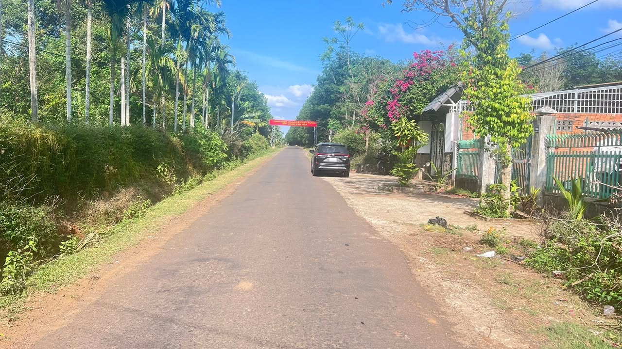 Mặt Tiền Nguyễn Xuân Nguyên, BMT - 98m² Thổ Cư, Giá 3.5 Tỷ