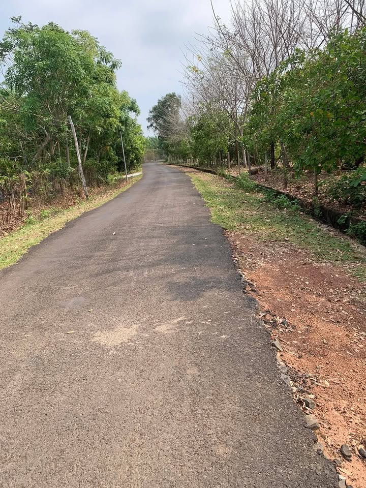 Đất vườn Thiện Hưng 14.000m² 1.8 tỷ - Sinh thái xanh