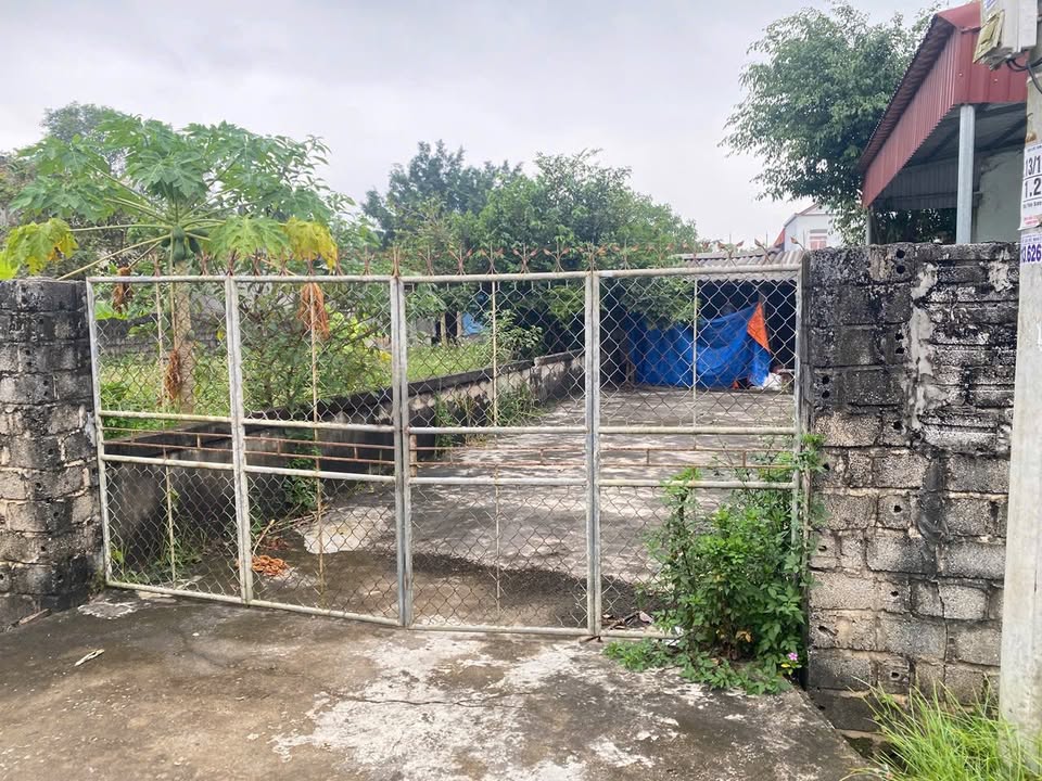 Đất nền Thôn Yên Đồng Tam Điệp 105m² - Sổ đỏ chính chủ, tiềm năng sinh lời!