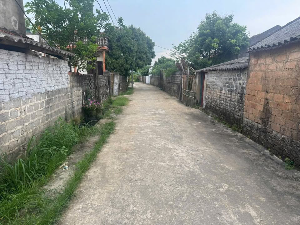 Đất nền Tân Bình, Tam Điệp 136m² - Đường to ô tô!