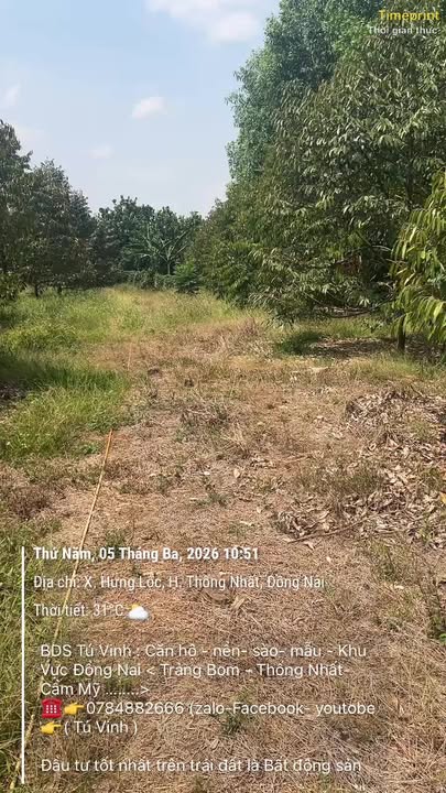 Đất Vườn 2200m² Xã Lộ 25, Đồng Nai - Sổ đỏ chính chủ, giá 2.1 tỷ