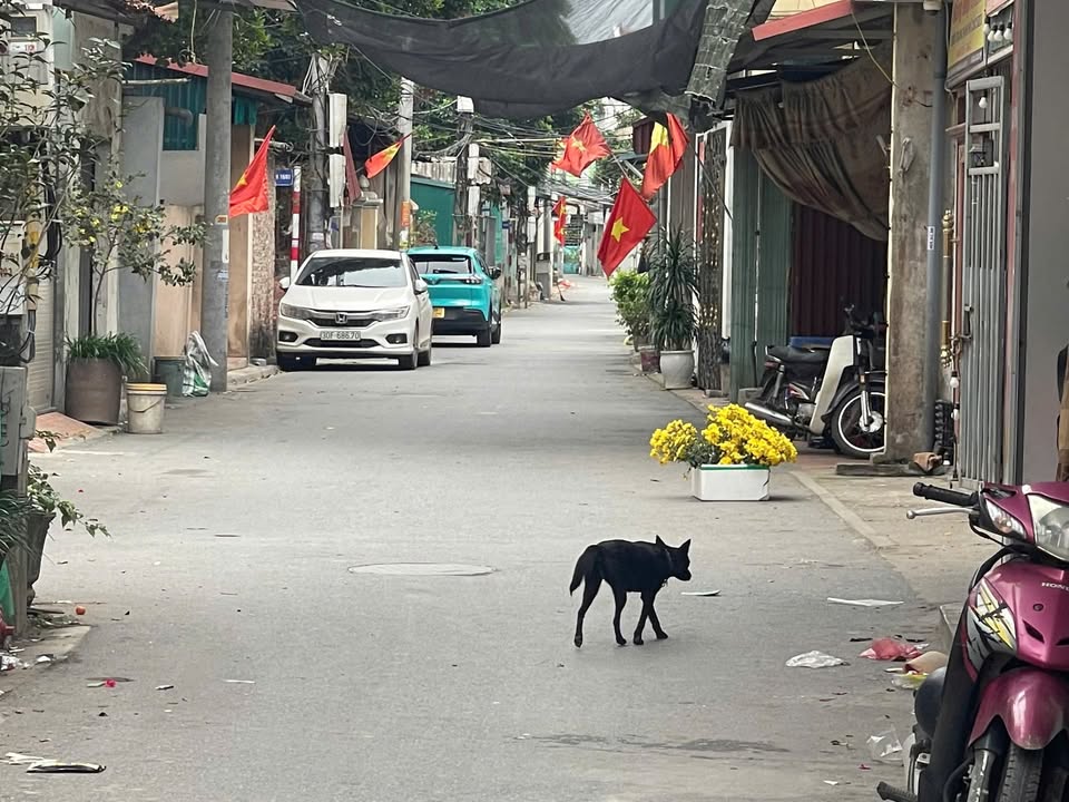 Đất nền Thôn Hạ, Dương Xá 42m² giá 3.x tỷ - Đường to ô tô