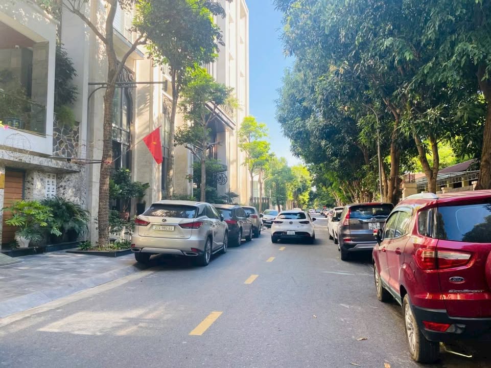 Nhà Phố Yên Vinh TP Vinh 124m² - Vị trí đắc địa, mặt tiền gần 7m!