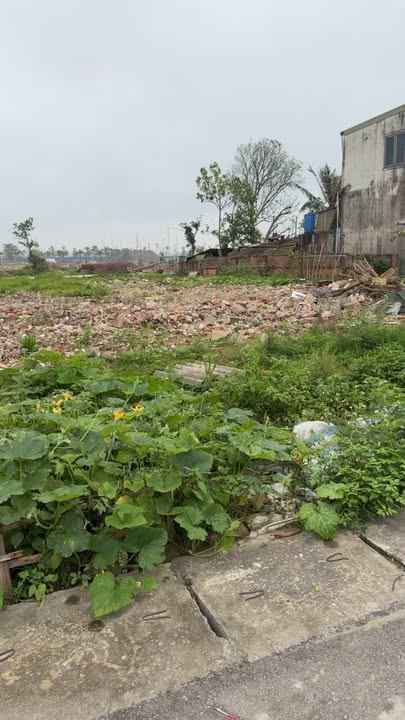 Đất nền 137m² cạnh Casa Flora, Vinh - Sổ đỏ sẵn sàng