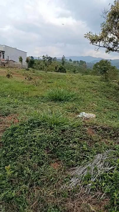 Đất nền Lộc Phú, Bảo Lâm 1600m² - Sổ đỏ chính chủ!