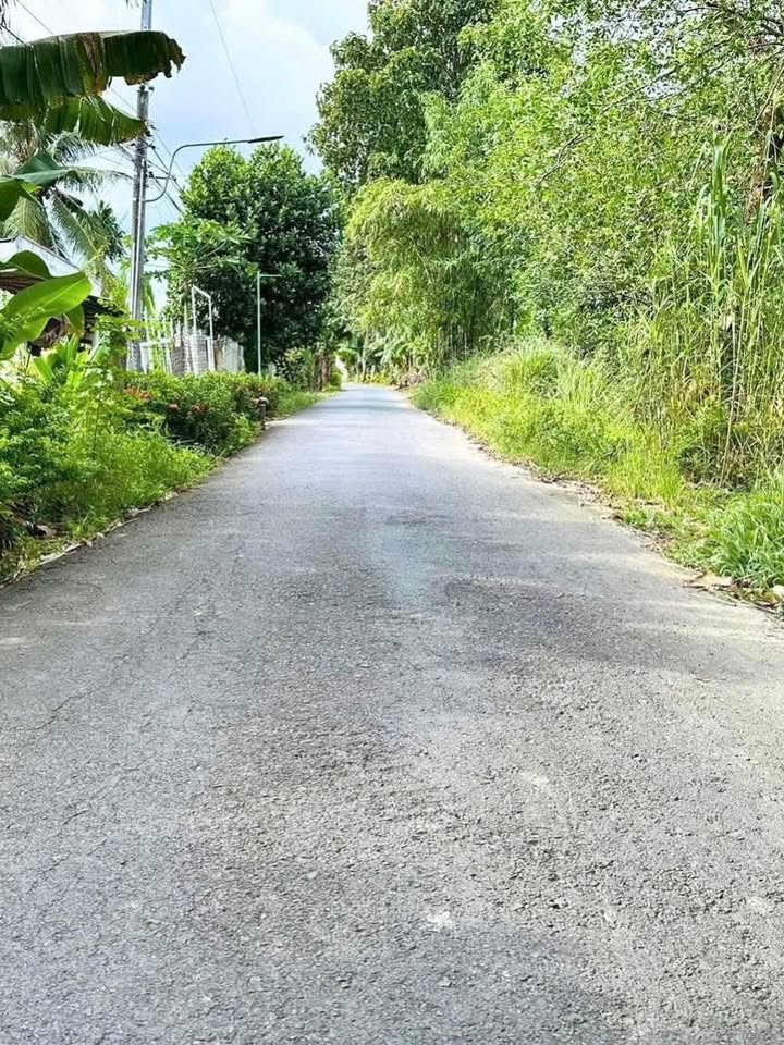 Đất nền Đại Thành Cần Thơ 480m² giá 1.15 tỷ - Sổ đỏ chính chủ