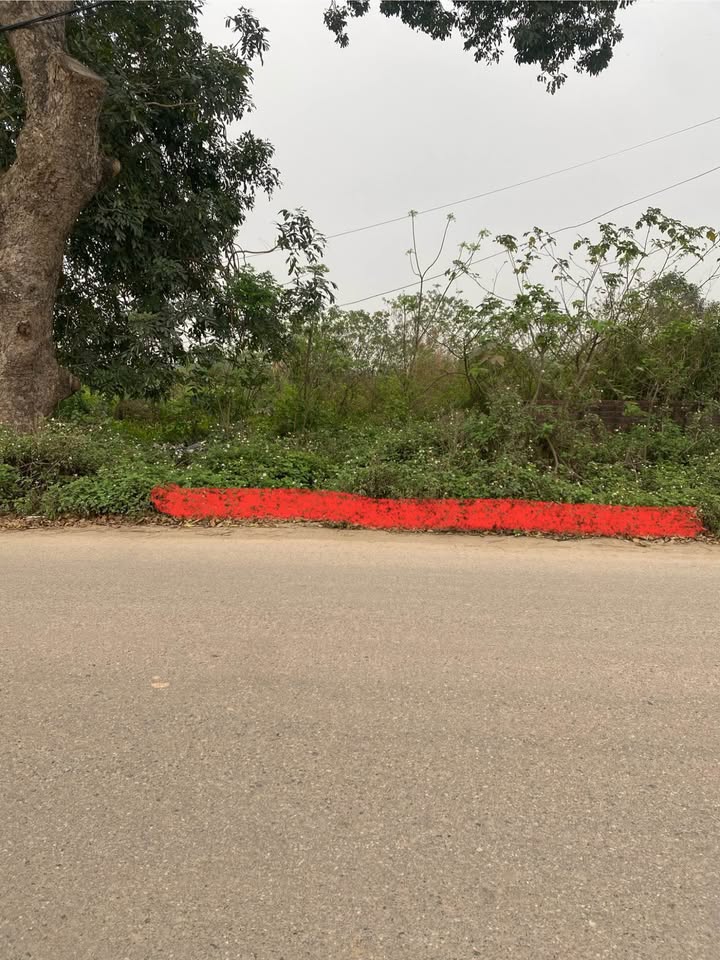 Đất nền Tứ Xã Lâm Thao 170m² - Sổ đỏ chính chủ, giá tốt nhất!