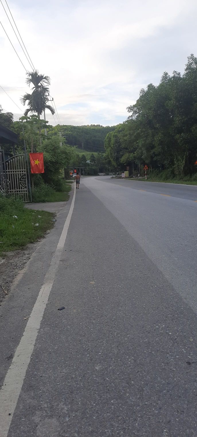 Đất Mặt Đường QL2 Tuyên Quang 197.5m² - Kinh Doanh, Ở Thoải Mái