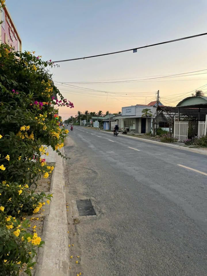 Đất Vàng Mặt Tiền DT 885 Bến Tre - 680m² Kinh Doanh Đa Ngành