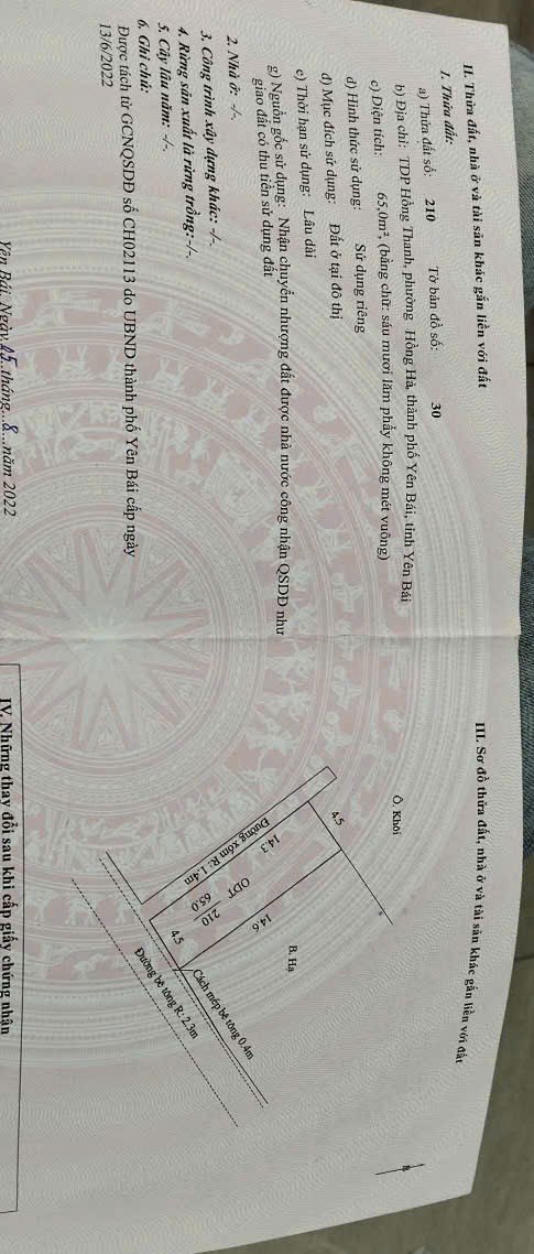 Đất Vàng Phường Yên Ninh - 67m² - 7xx Triệu - Ô Tô Tới Đất