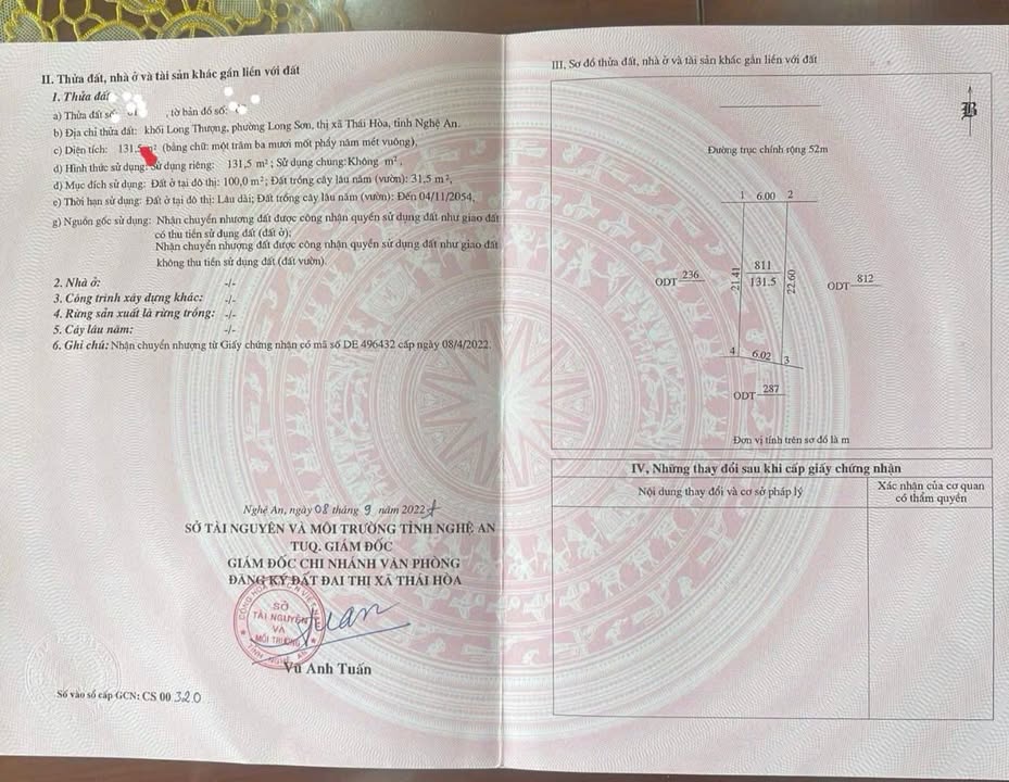 Đất nền Đường 52 Thái Hoà 132m² - Tiềm năng tăng giá vượt trội!