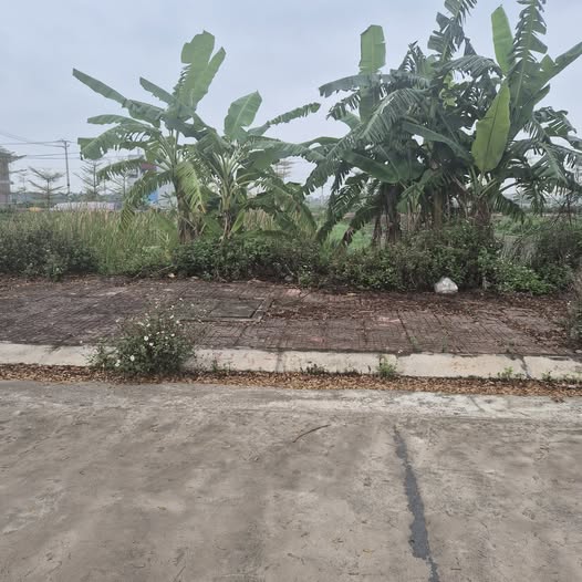 Đất Nền Yên Khánh, Ninh Bình 108m² Hướng Nam - Giá Tốt Nhất