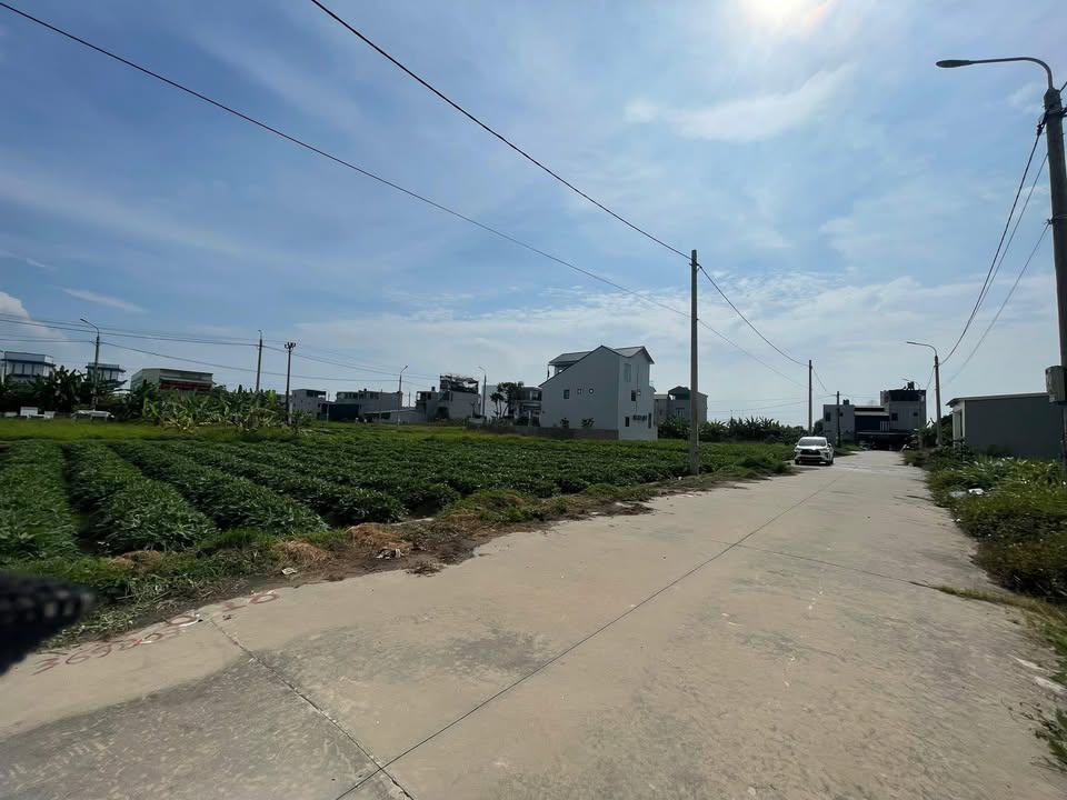 Bán Đất Nền Vĩnh Hồng, Bình Giang, Hải Dương - 87.5m² - Giá Tốt