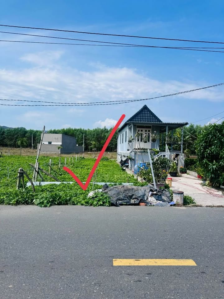 Đất nền 2MT nhựa Long Tân, Bà Rịa - Vũng Tàu 117m² - Giá chỉ từ 1 tỷ