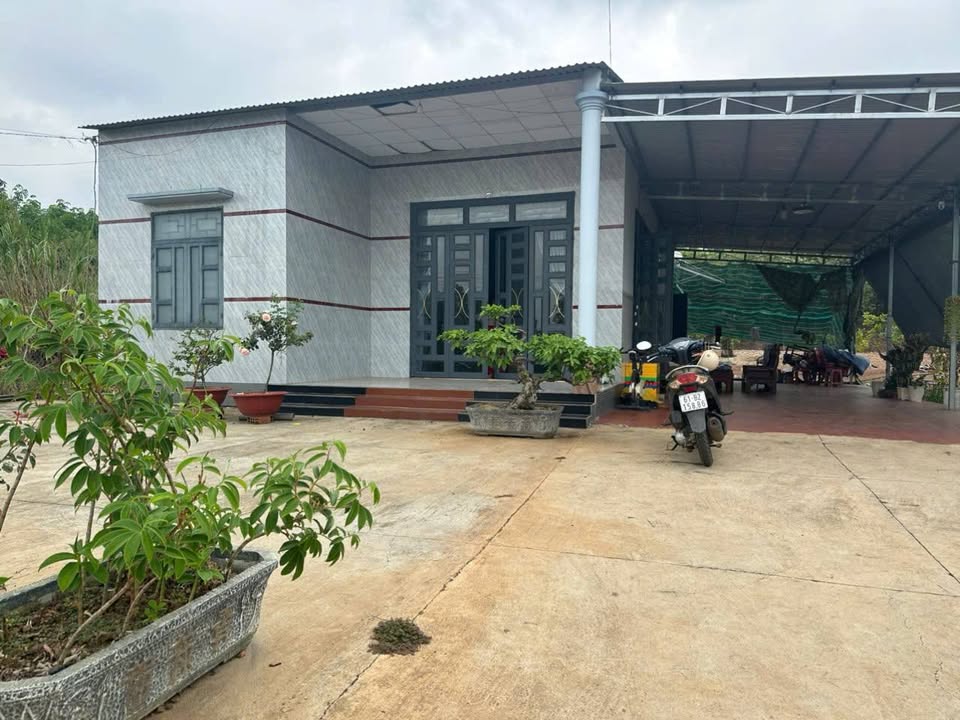 Bán Gấp Đất Vườn 360m² Bù Đốp, Bình Phước Giá Chỉ 480 Triệu