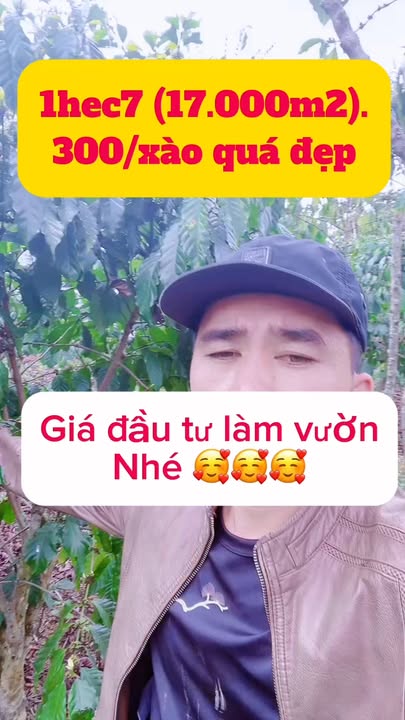 Đất nền Lộc Quảng, Bảo Lâm 17.000m² giá 5.1 tỷ - Đầu tư dài hạn!