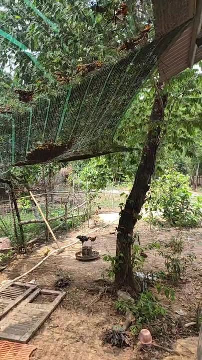 Đất nền Trảng Bom Đồng Nai 1259m² giá 6.5 tỷ - Tiềm năng tăng giá