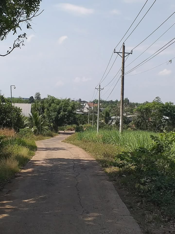 Đất thổ cư sổ riêng 150m² Xuân Lộc - Giá tốt, sẵn xây