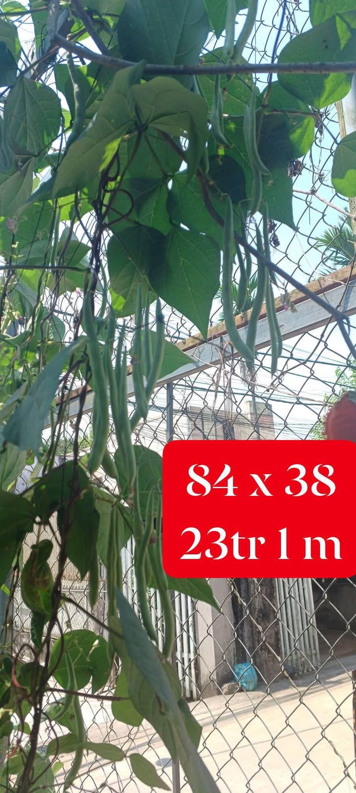 Đất nền Phú An Tân Phú 3 sào 2 tỷ - Đường to ô tô