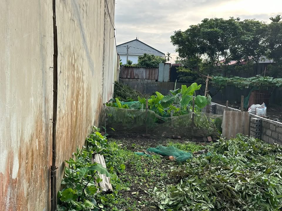 Đất nền Phố Hiến 100m² - Đường to ô tô, pháp lý rõ ràng!