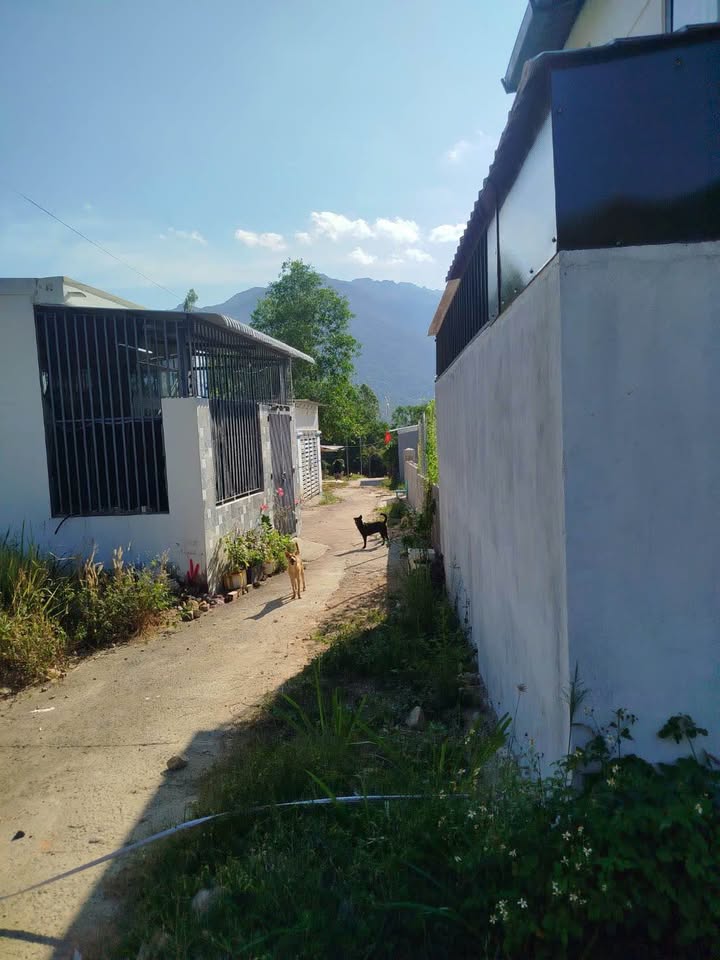 Đất nền Phước Đồng Nha Trang 89m² 1.3 tỷ - Sổ đỏ chính chủ
