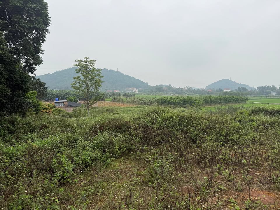 Đất Vườn Sóc Sơn 405m² - Thung Lũng Hoa Sơn, Trung Giã - Sinh Thái An Yên