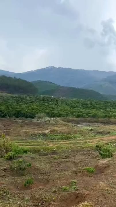 Đất vườn Phú Sơn, Lâm Hà 4ha giá 7 tỷ - Sổ đỏ chính chủ!