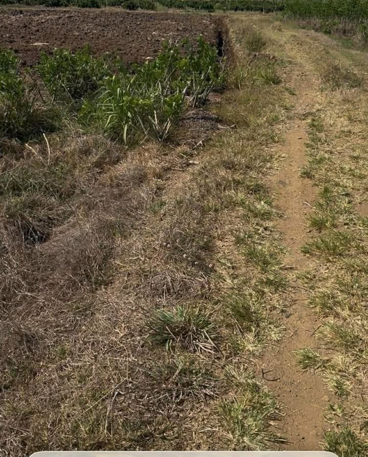 Đất nền Tân Văn, Lâm Hà 4100m² - Ô tô vào tận nơi, tiềm năng sinh lời!