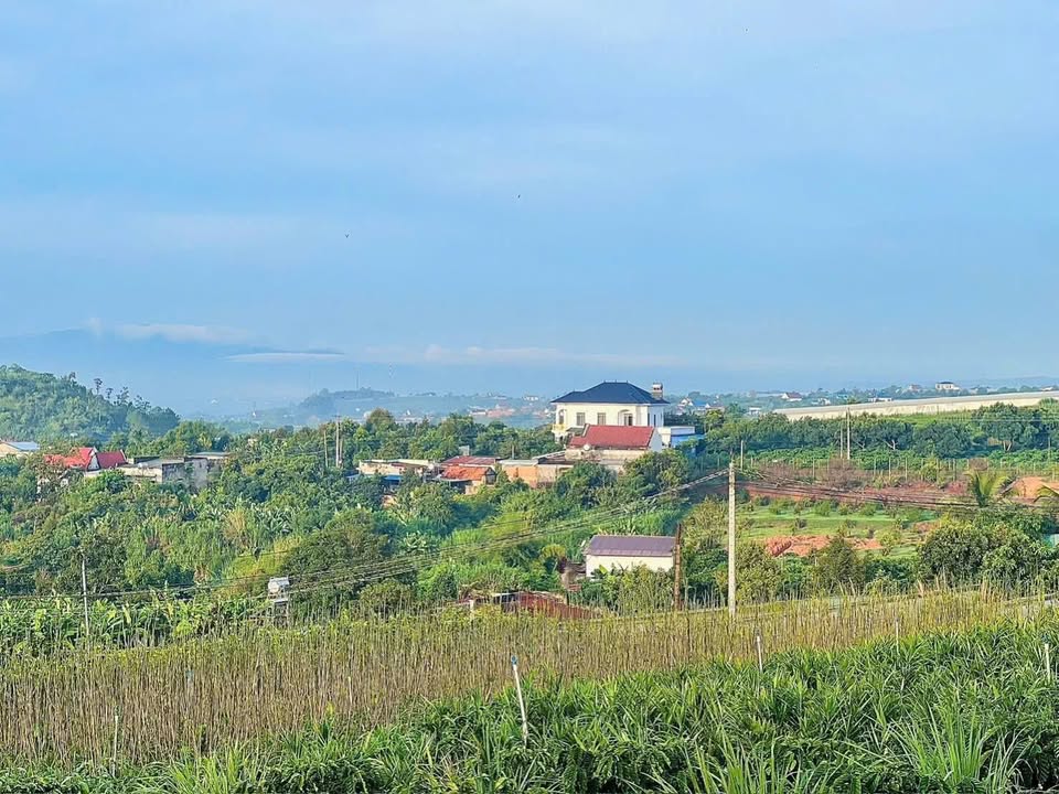 Bán Đất Ven Đà Lạt 653m² - Sổ Thổ Cư, Giá Chỉ 1.69 Tỷ