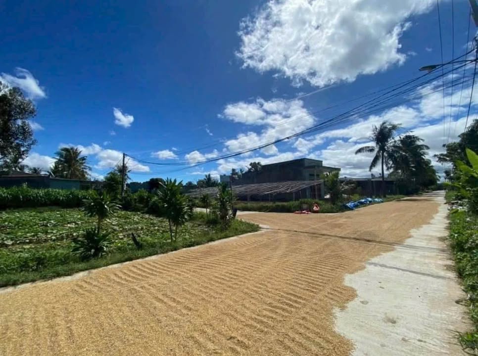 Đất 2 Mặt Tiền Nguyễn Thông, Kon Plông - 240m² Hướng Nam - Giá 1.2 Tỷ