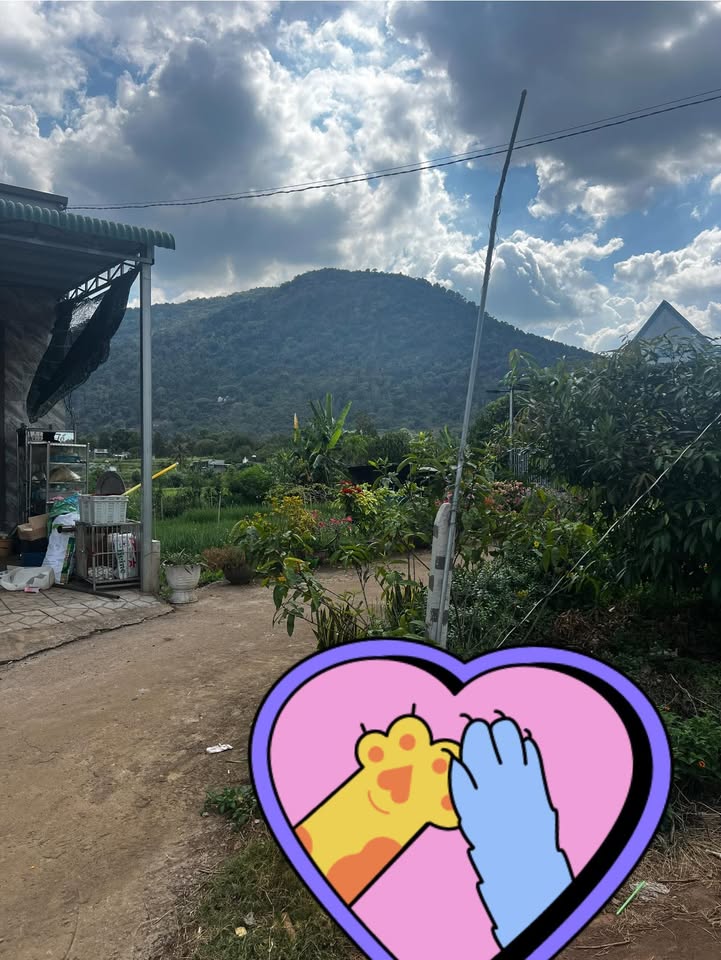 Đất Nền Xuân Lộc, Đồng Nai 108m² - View Núi Chứa Chan, Giá 570 Triệu