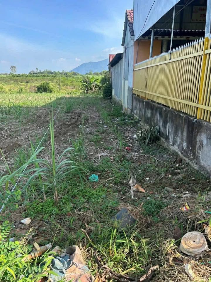 Đất Nền Sổ Đỏ Xuân Lộc, Đồng Nai - 175m² Giá 2 Tỷ, Sẵn Xây Nhà