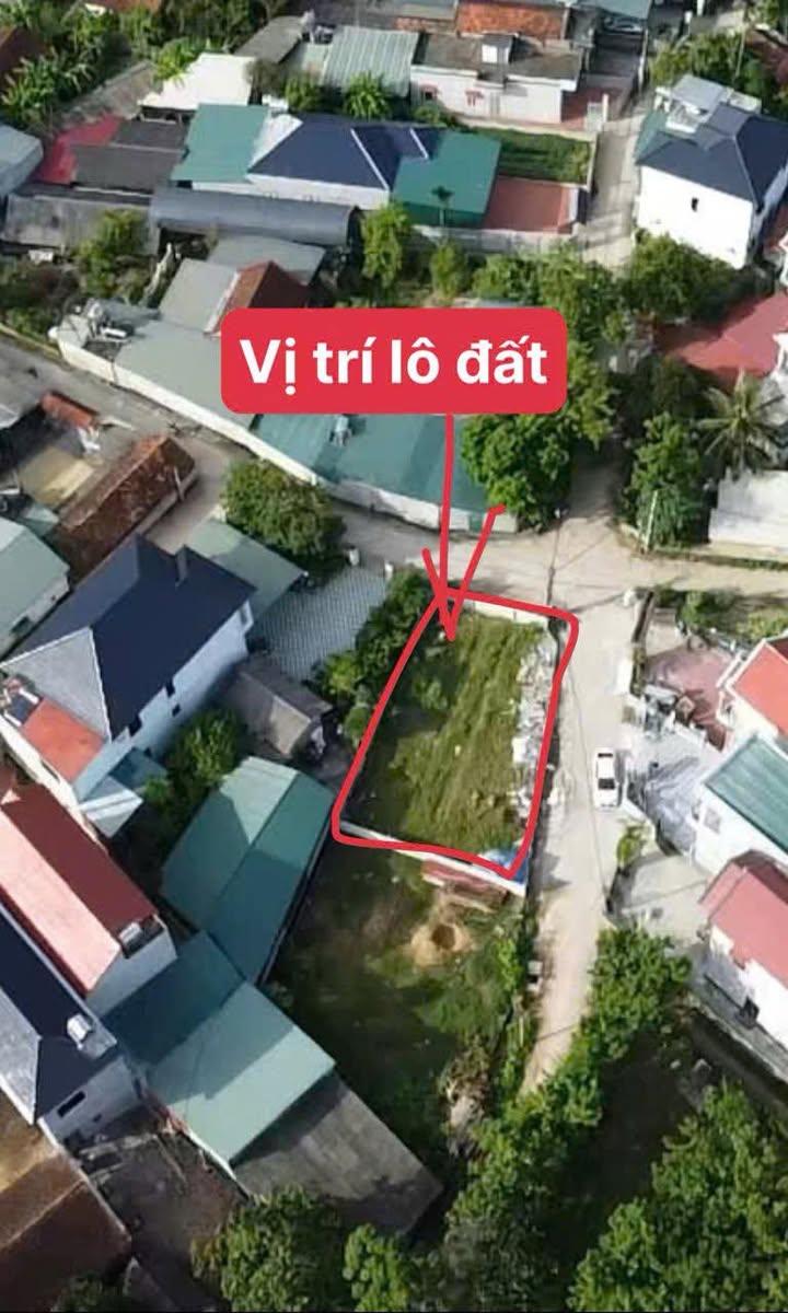 Đất nền Tam Đảo 251.9m² - Sổ đỏ chính chủ, giá tốt bán nhanh!