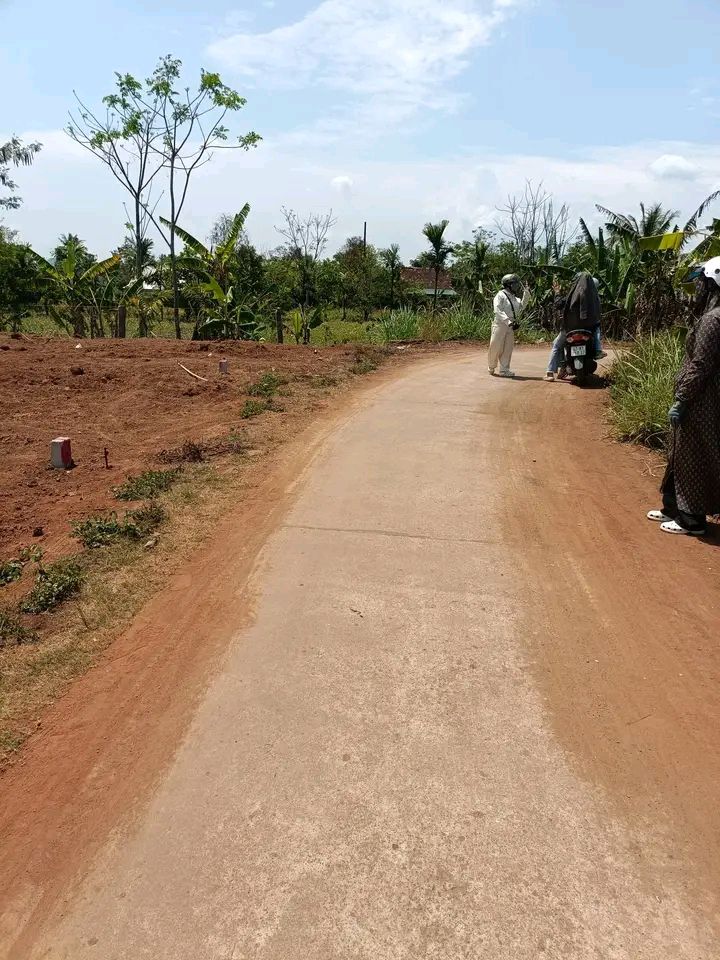 Đất Thổ Cư Full Krông Pắc, Đắk Lắk - 250m² Giá Từ 3xx Triệu/Lô