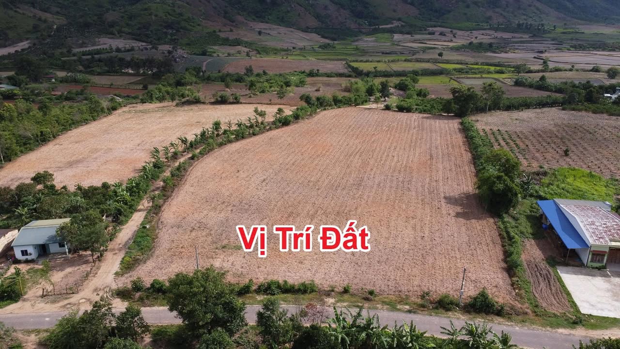 Bán Gấp Đất Vàng Krông Bông 10.300m² - Sổ Đỏ Thổ Cư, Mặt Tiền Nhựa 62m