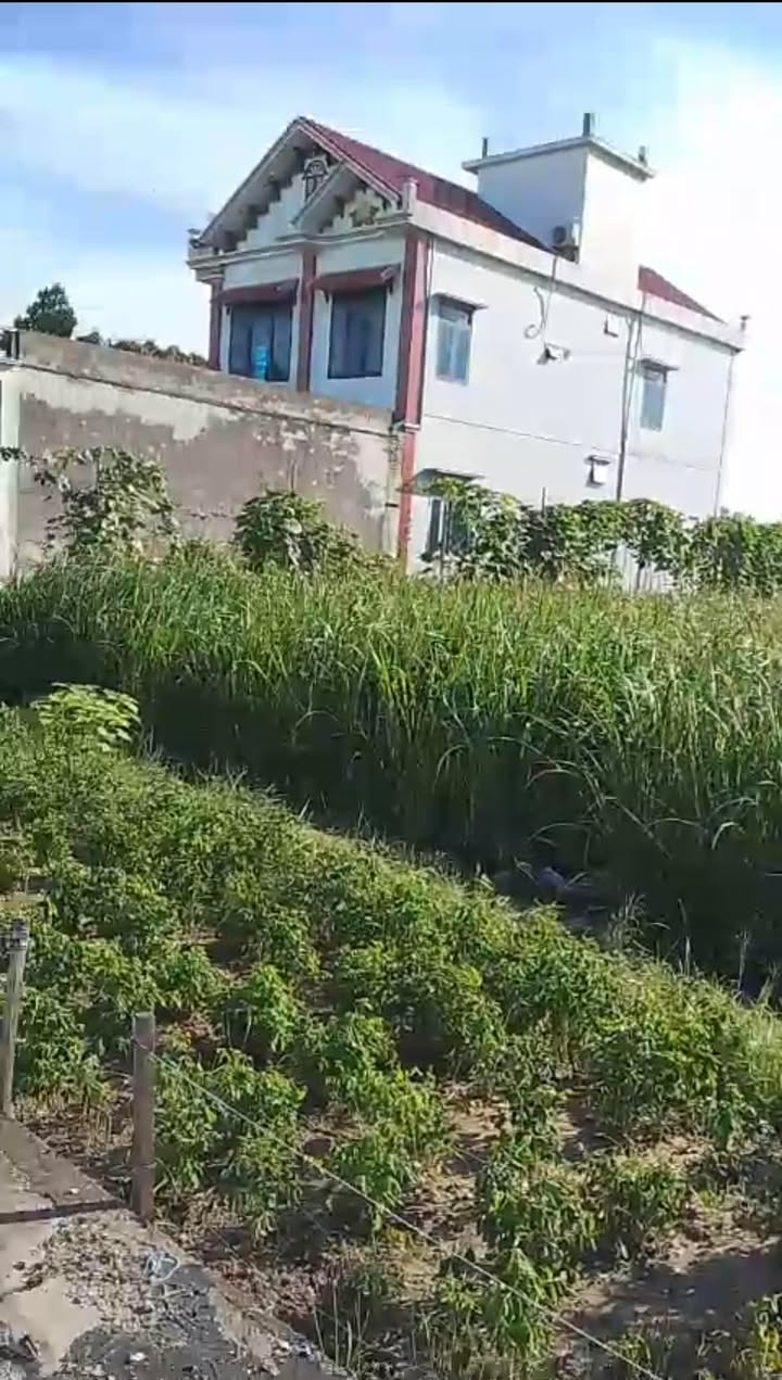 Đất nền Thôn Trung, Tân Hưng, TP Hưng Yên 101m² - Sổ đỏ chính chủ!