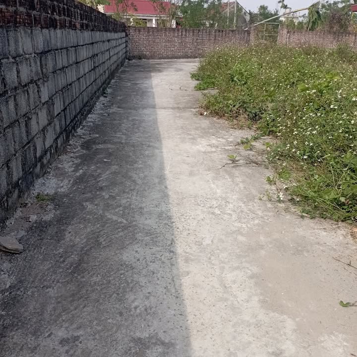 Đất nền Thái Thụy, Thái Bình 100m² - Sổ đỏ sẵn sàng, đầu tư sinh lời