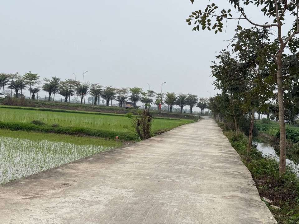 Đất nền Thôn Úc Lý, Thanh Oai 130m² - Tiềm năng tăng giá vượt trội