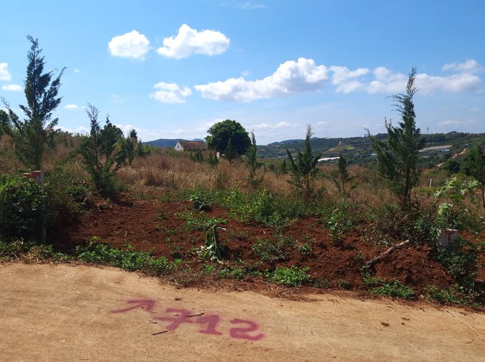 Đất nền Nam Ban, Lâm Hà 170m² - Giá F0 CĐT, chỉ 520 triệu!