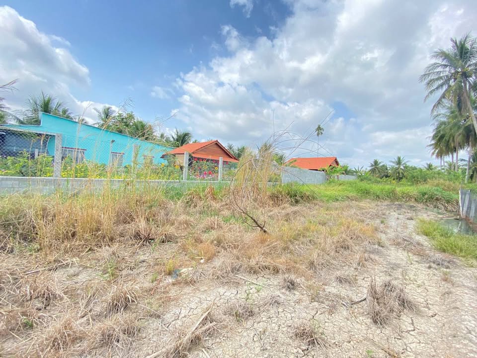 Đất nền Xã Phú An Hòa, Châu Thành 498m² - Đường to ô tô