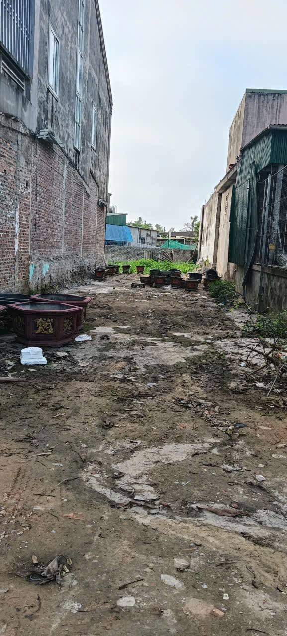 Đất Nền Nghi Thái, Vinh 270m² - Mặt Tiền Đường 535 Giá Tốt