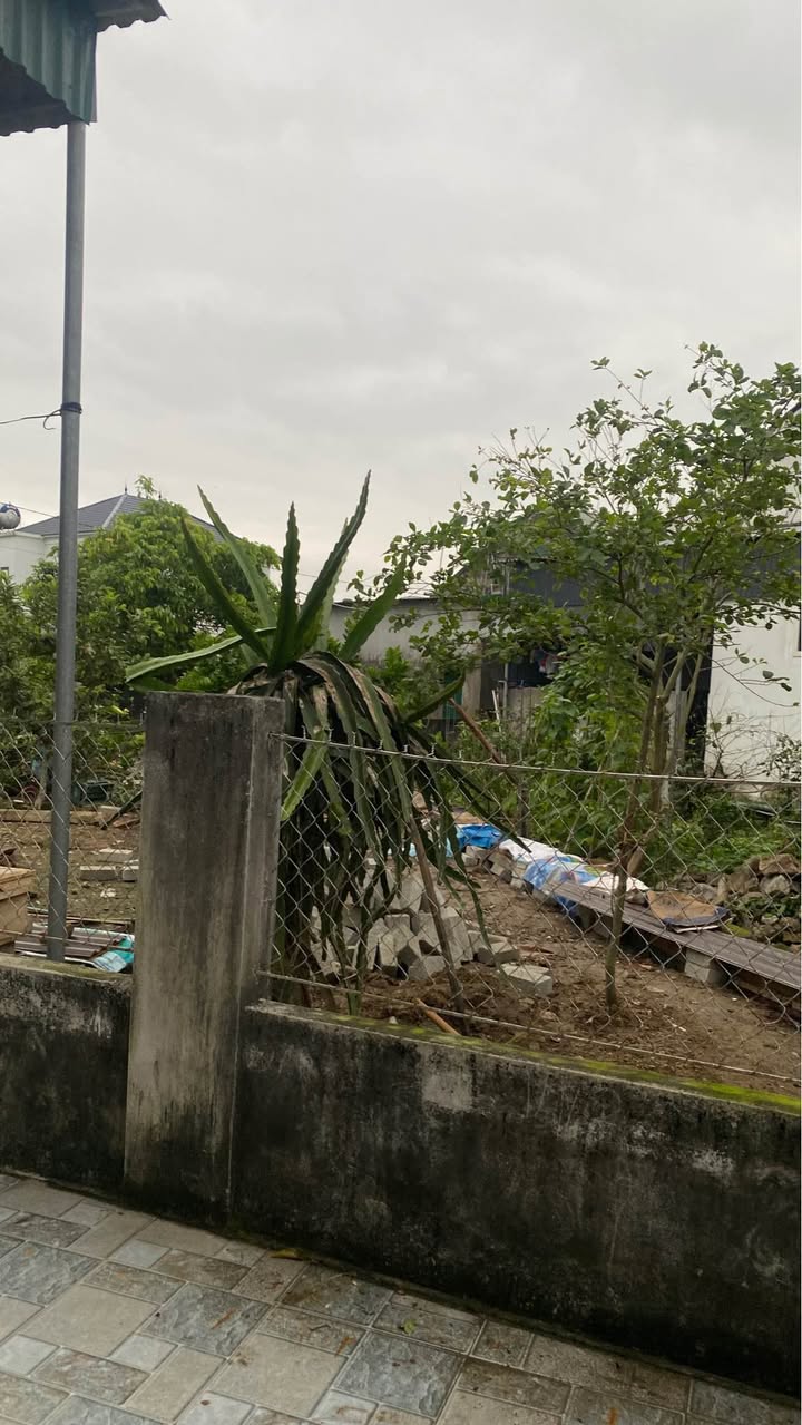 Nhà riêng Ngõ Trần Phú TP Vinh 150m² - Ô tô vào tận nhà!