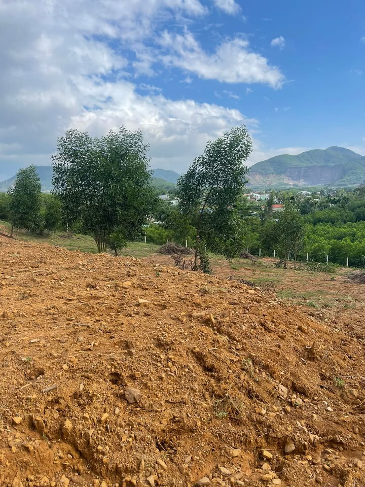 Đất Vườn 1000m² Thôn Xuân Phú, Đà Nẵng - Sẵn Sàng Đầu Tư