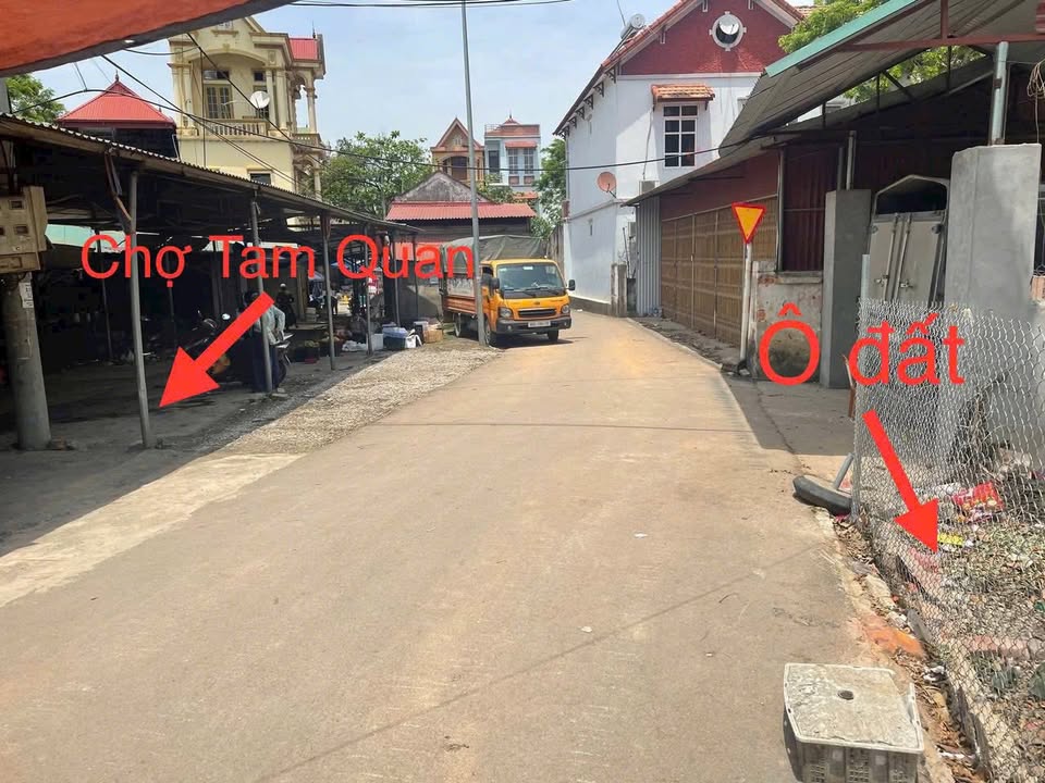 Đất Nền Tam Quan, Tam Đảo 249m² - Tiềm Năng Tăng Giá Vượt Trội