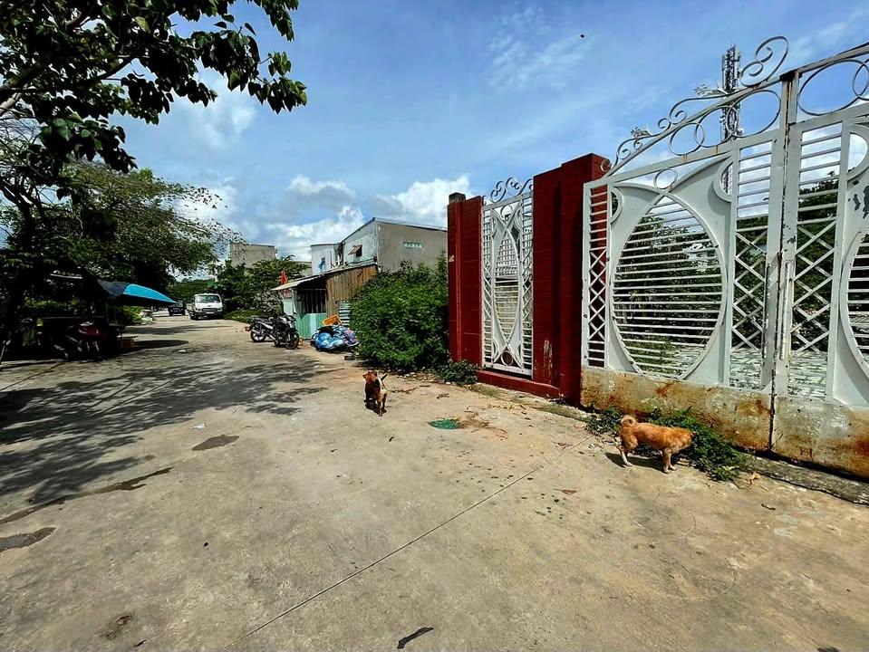 Đất Nền Long Thới, Nhà Bè 160m² - Sổ Hồng Thổ Cư, Giá 4.95 Tỷ