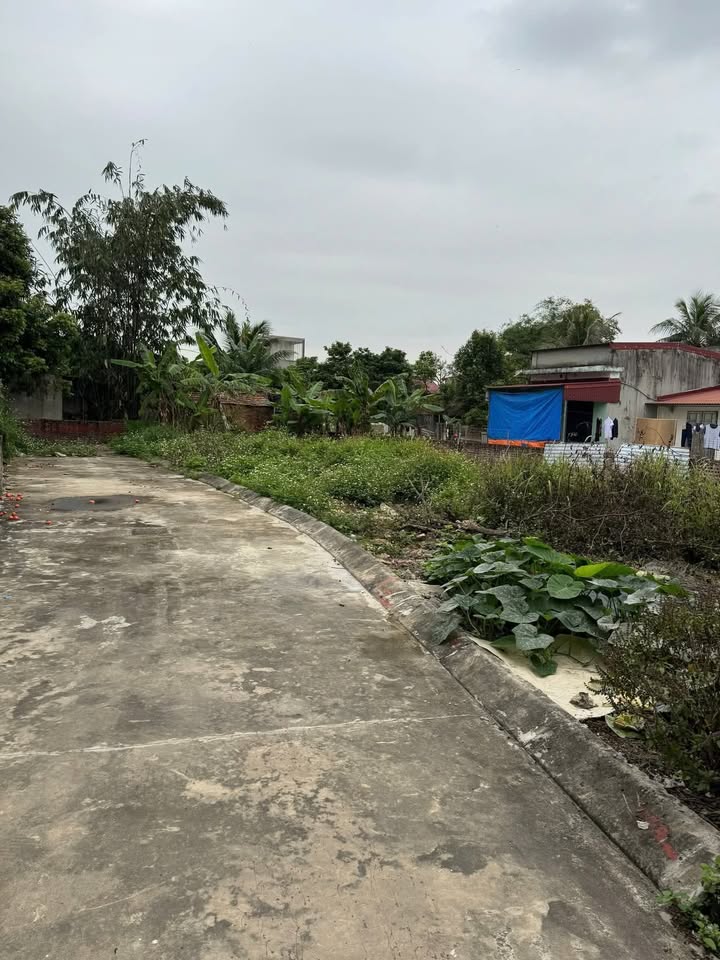 Nhà Ngõ Oto 65m² Phường Đồng Hoà, Kiến An - Hơn 600 Triệu