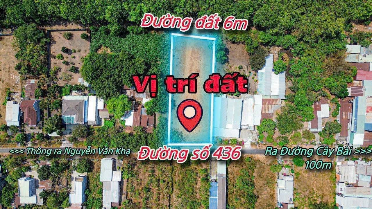 Đất nền Phú Hòa Đông Củ Chi 1922m² - Tiềm năng tăng giá vượt trội!