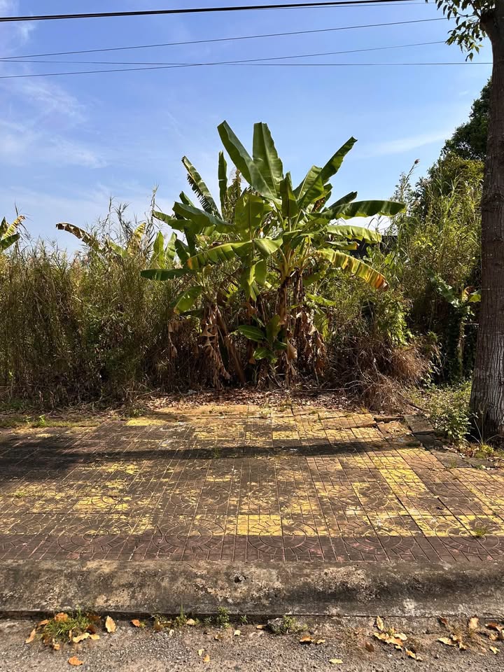 Đất nền Trần Thủ Độ, Cần Thơ 102m² - Sổ đỏ chính chủ, xây dựng tự do!