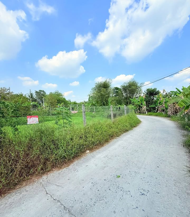 Bán Nền Gạch Nhum Phong Điền 84m² - Tặng Đất Đối Diện, Giá 1.05 Tỷ