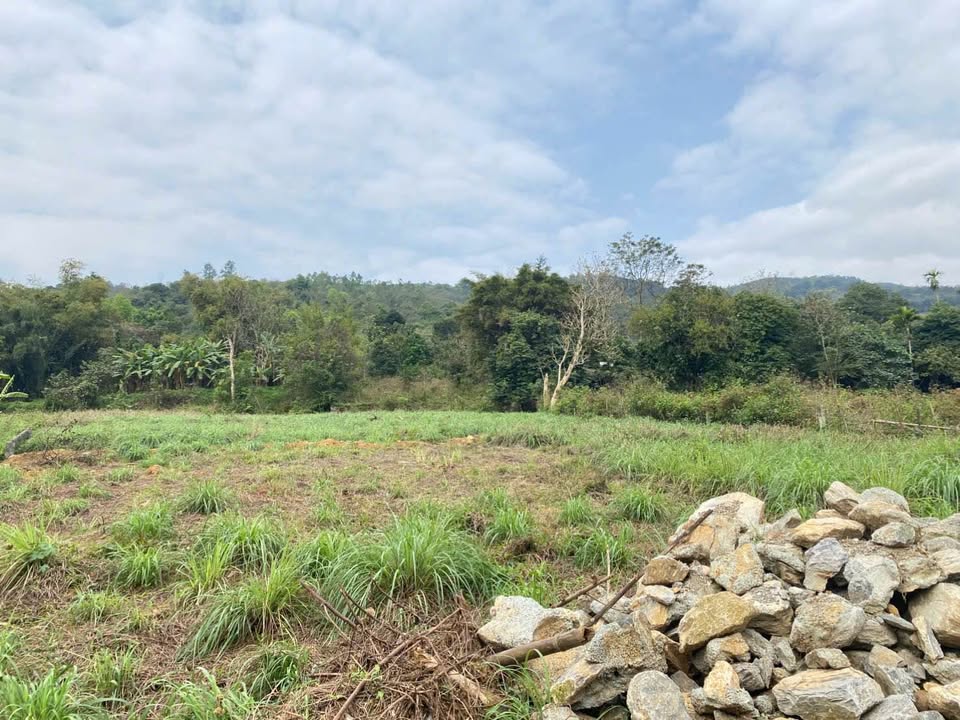 Đất nghỉ dưỡng Hòa Sơn 1.800m² 5.4 tỷ - Tiềm năng tăng giá